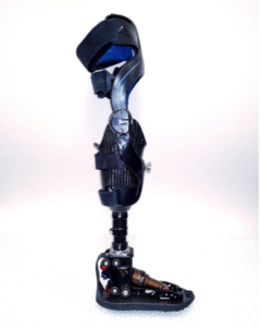 Knee prosthetics