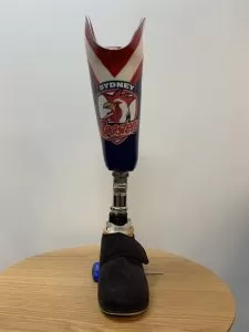cosmesis_roosters-768x1024